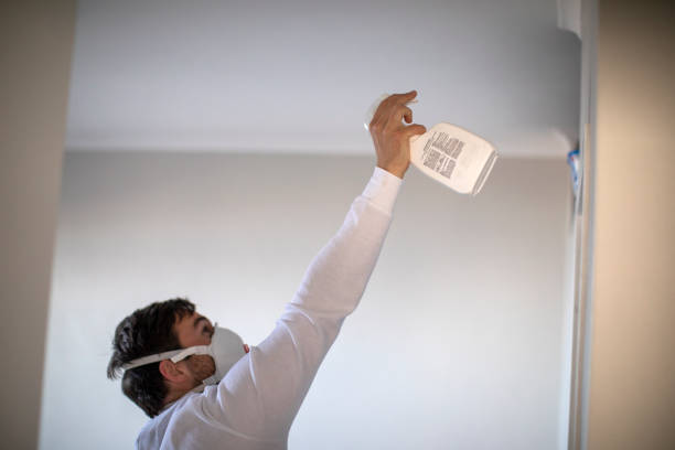 Best Commercial Mold Removal  in Stanberry, MO