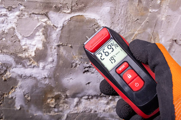 Best Office Mold Removal Services  in Stanberry, MO