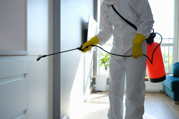 Best Office Mold Removal Services  in Stanberry, MO